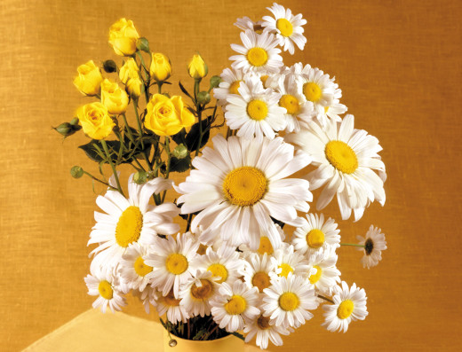 720267 (a): :2628x2006